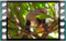 jay 2019-02-26-15-31-41crw