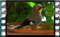 jay 2019-03-06-16-06-59w
