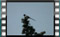 magpie-00004-cr-b