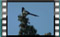 magpie-21.2.2017-00012cr