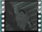 barn swallows nest infra red sleep