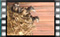 barn.swallow S1250007