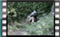 dekoxtoures etc M2U00420